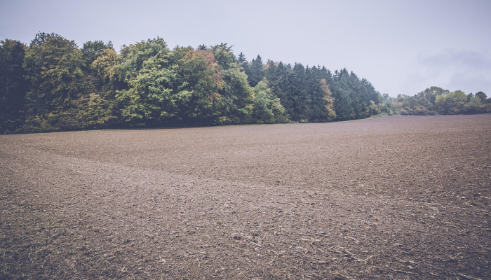 黄梅新村最新疫情消息：让您安心每一天