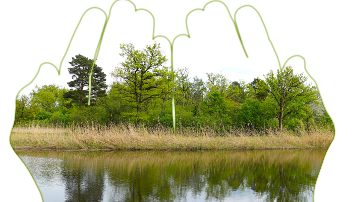 鹿城区疫情最新通知图:保护您的健康,关注最新动态