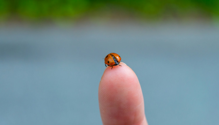 查中国疫情地图最新：全面了解最新疫情动态