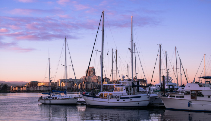 三亚最新的疫情数据图：透视城市防控效果与未来趋势