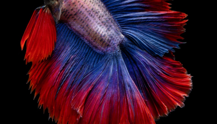 牡丹江图片最新疫情：全面了解防疫最新动态