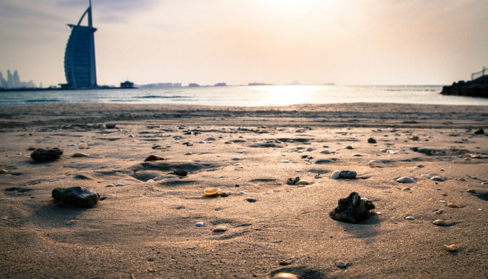 印度疫情最新分解图片：深度解析与全景视角