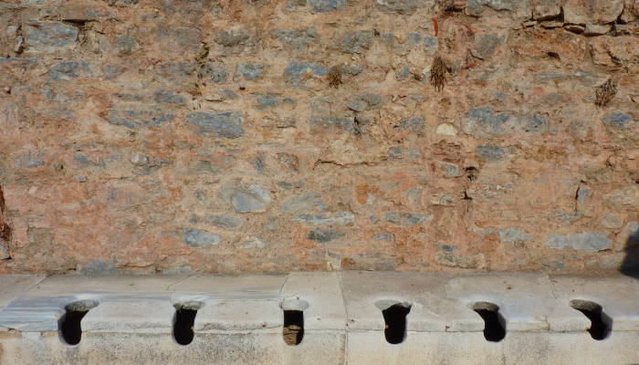 埃及最新疫情公布：全球关注的公共卫生状况