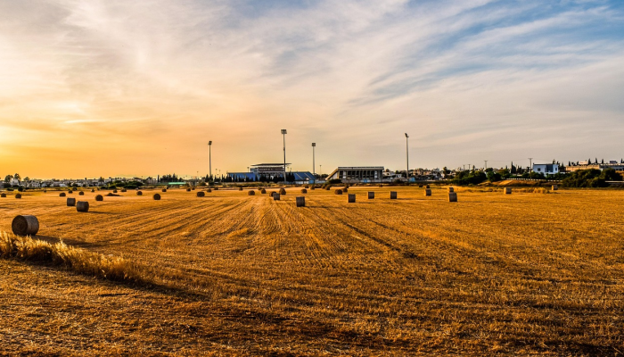 平南三村疫情最新消息：你需要了解的每一个细节
