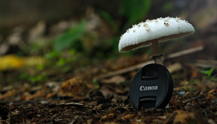 湖州疫情最新头条：全面掌握最新动态，共同守护健康安全