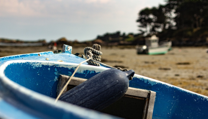 南京昨天最新疫情报告：防疫措施与市民生活的最新动态