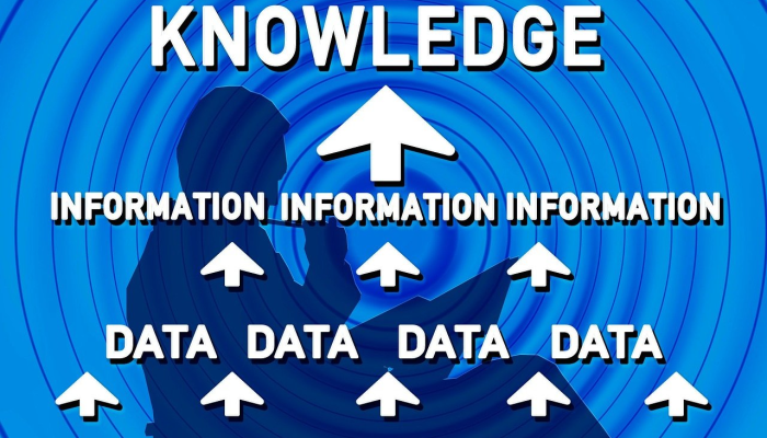 南湾区疫情最新：防控胜利与未来展望