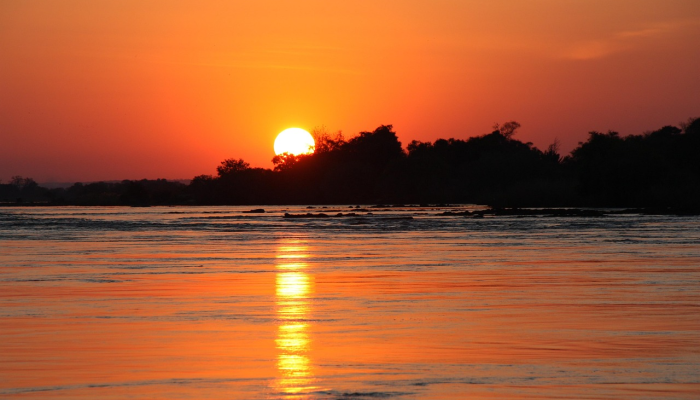 根据最新疫情动态：全面了解和应对当前公共卫生挑战