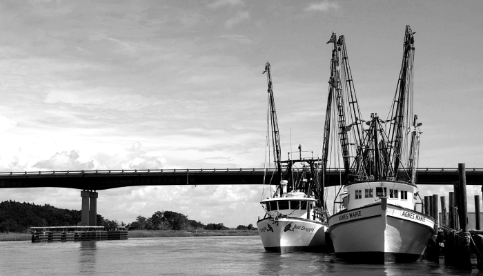 甘兰最新疫情：防护与希望的交汇点