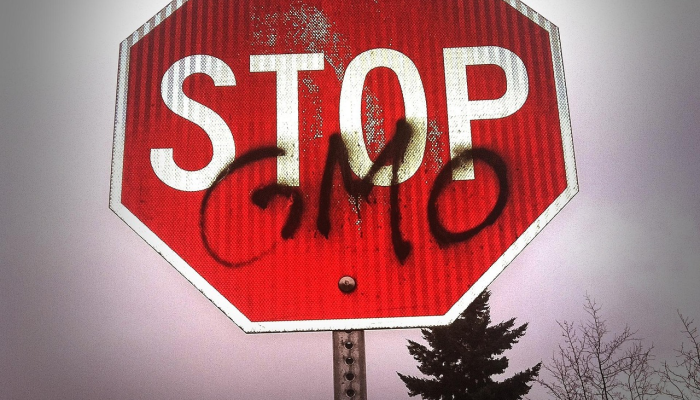 德国最新消息疫情：全球健康战线的先锋