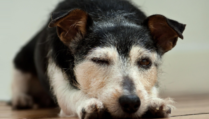 青浦疫情明细表最新：让我们一起关注防疫动态