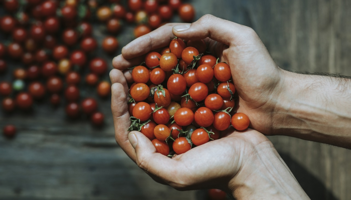 牛津最新疫情消息：全球健康安全的最新动态解读