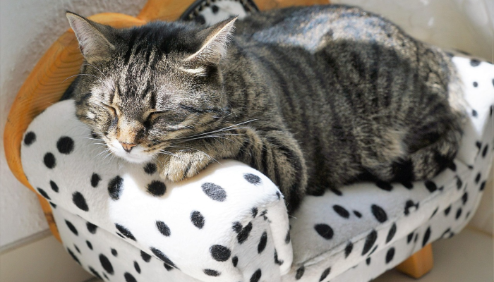 疫情最新播报海南疫情