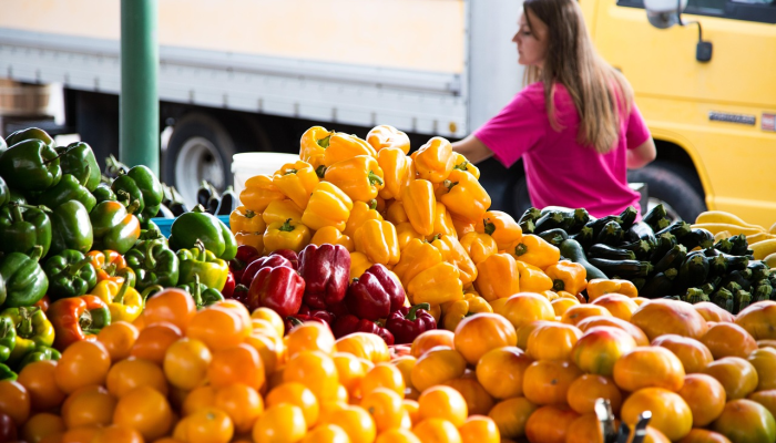 茶花社区最新疫情：保护健康，共同守护