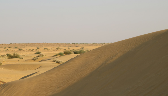 厦门最新翔安疫情防控