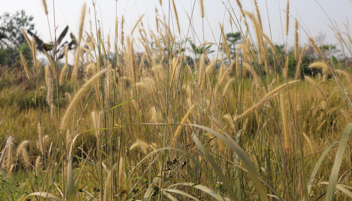 吉林省疫情列表最新：了解最新防疫动态，共同守护健康