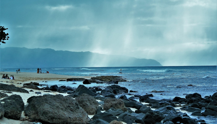 广东最新疫情动态情况：从防控策略到人民生活的真实影响