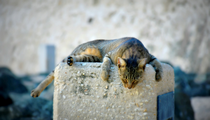 襄汾新增疫情最新消息：全面透视最新动态与防控措施