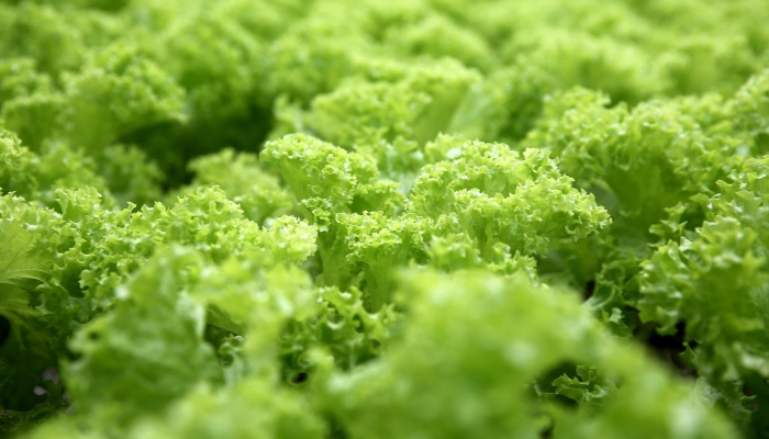 株林最新疫情消息：保护健康，科学应对