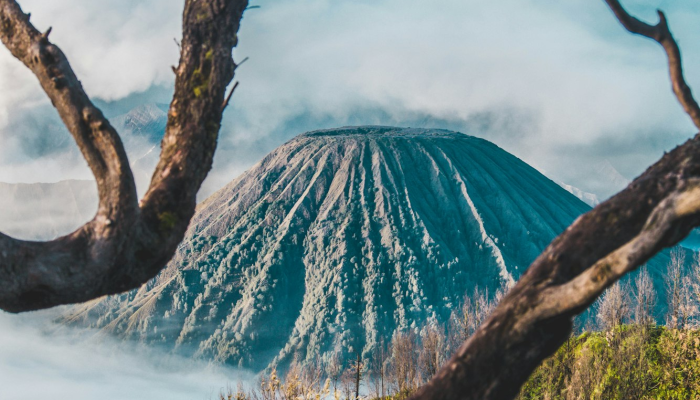 延安防控最新通报疫情