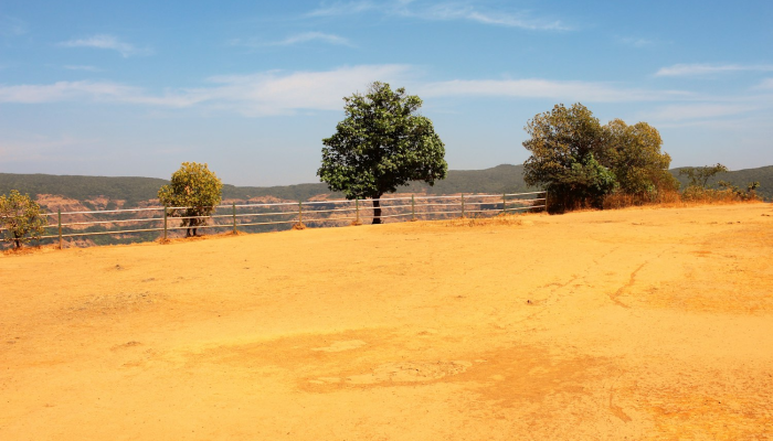 印度基地最新疫情：全球关注的健康危机