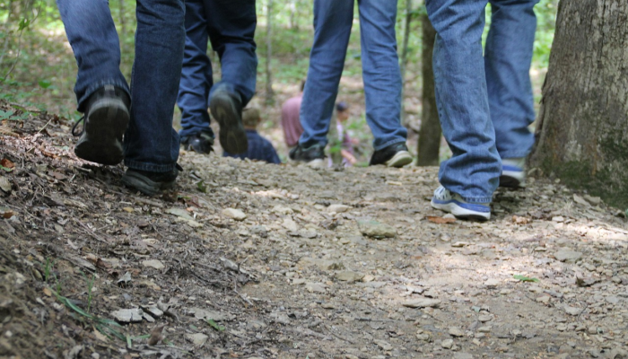 泾川镇疫情通告最新