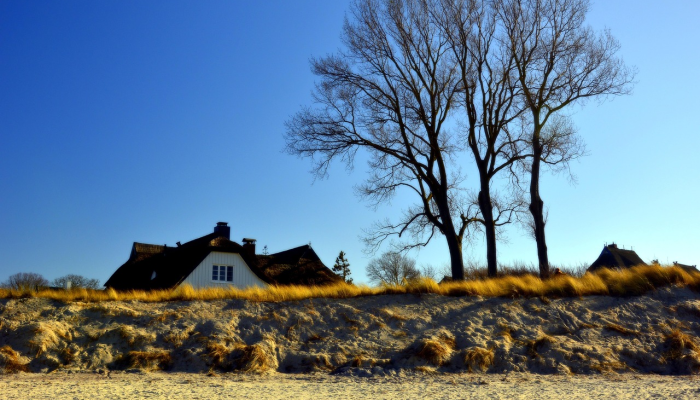天水今日最新疫情：实时动态与防护指南
