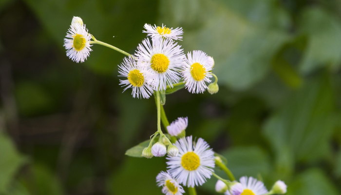 播州区疫情图最新：全面了解最新动态，保护健康第一