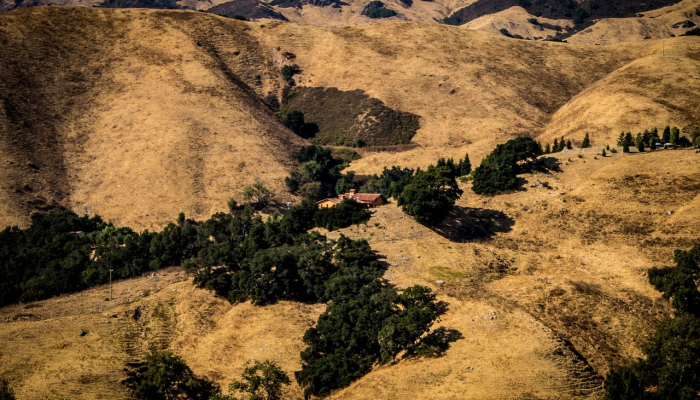 美国加州疫情最新动态：趋势分析与未来展望