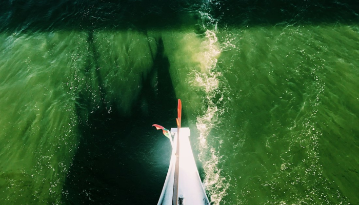 和桥疫情最新：全球健康与未来的视角