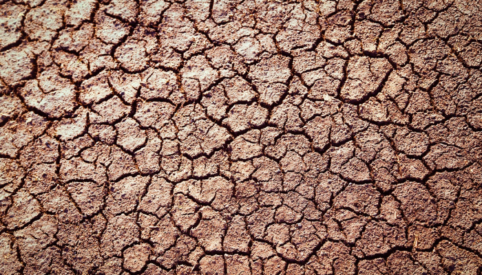 柚木疫情最新数据：全球防疫进展与未来展望