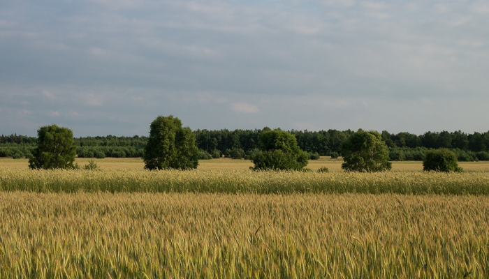 湖南疫情排名最新：全面解读疫情动态与防控策略