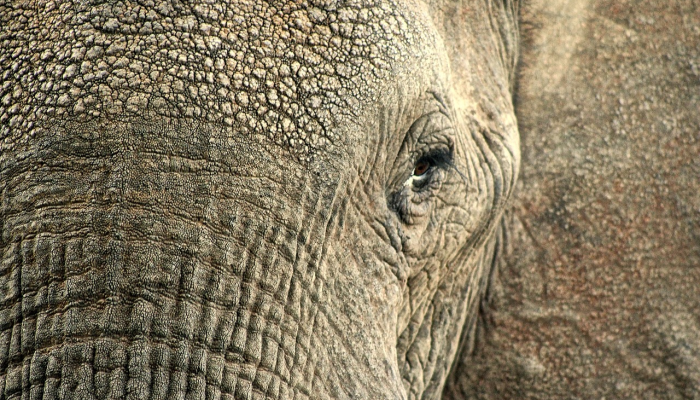 娄底有疫情最新通报吗？了解最新动态，保护你的健康