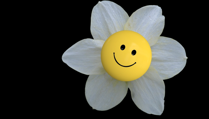 山东要闻疫情最新：防控策略与公众心态的动态变化