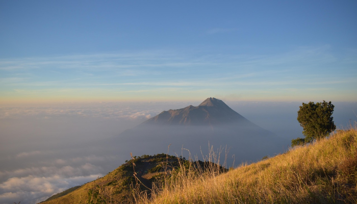 青藏疫情最新通报：全面了解疫情动态与防控措施