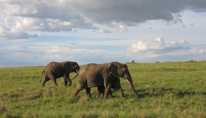 大象山镇疫情最新:稳定迹象显现,但防控仍需警惕 大象山镇疫情最新:稳定迹象显现,但防控仍需警惕