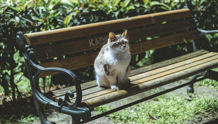 平湖疫情传感图最新：让科技助力你了解最新动态
