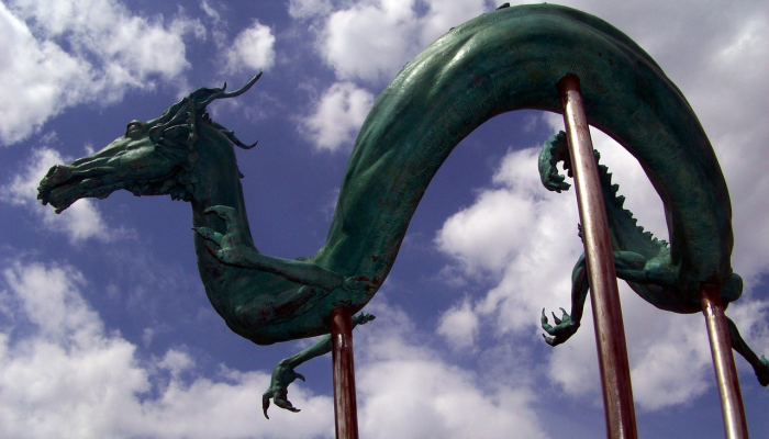 中国最新疫情马术：科技与传统的完美融合