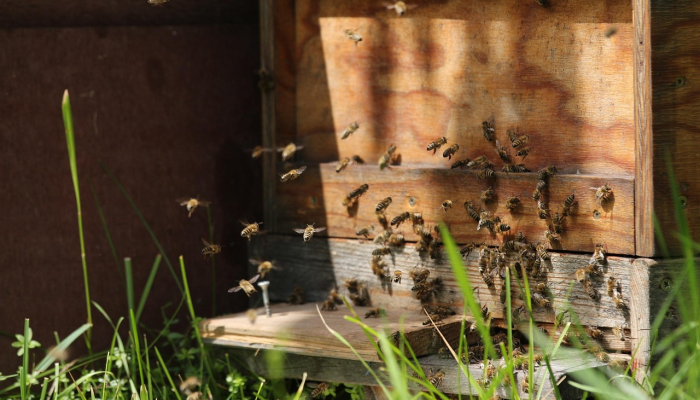 疫情最新报道济宁疫情:最新动态与防护策略 疫情最新报道济宁疫情:最新动态与防护策略