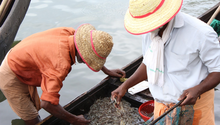 当下疫情最新情况福州