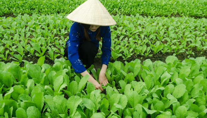 航院疫情最新：最新动态与科研进展