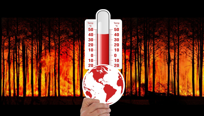 美年达最新疫情：全球健康与未来展望