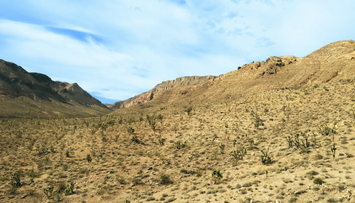 非州疫情最新消息：全球防疫最新动态与未来展望