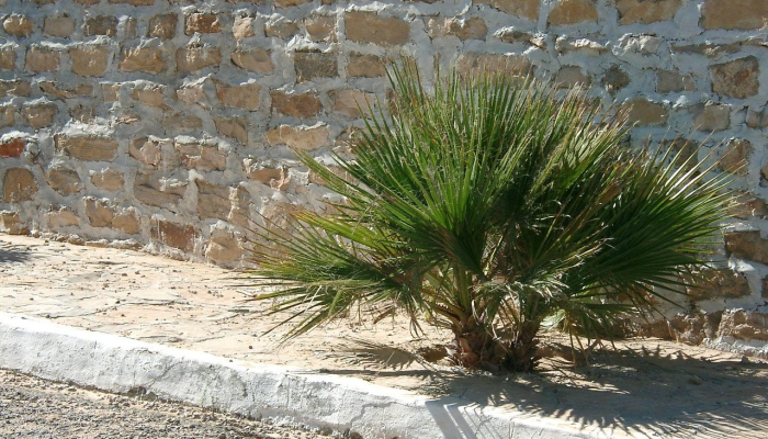 沁阳疫情统计表最新：全面了解当前疫情动态与防控措施