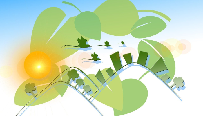 阳谷市最新疫情：保护健康，共同应对