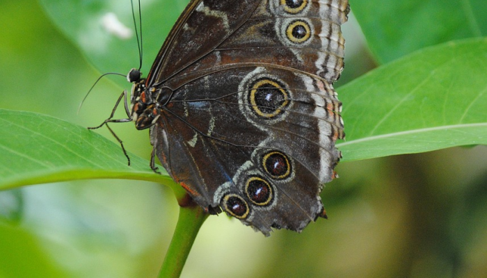 海陵区疫情最新报告：全面了解最新动态，保护健康第一