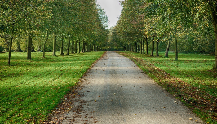 环山公园最新疫情：安全、健康，尽享自然乐趣