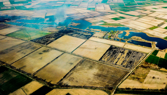 巴西视频最新疫情：全面了解当前形势与防护措施