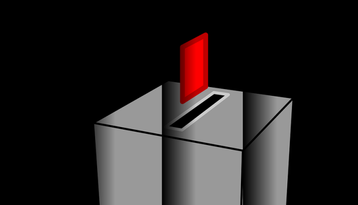 黑鱼疫情最新价格：市场动态与购买指南